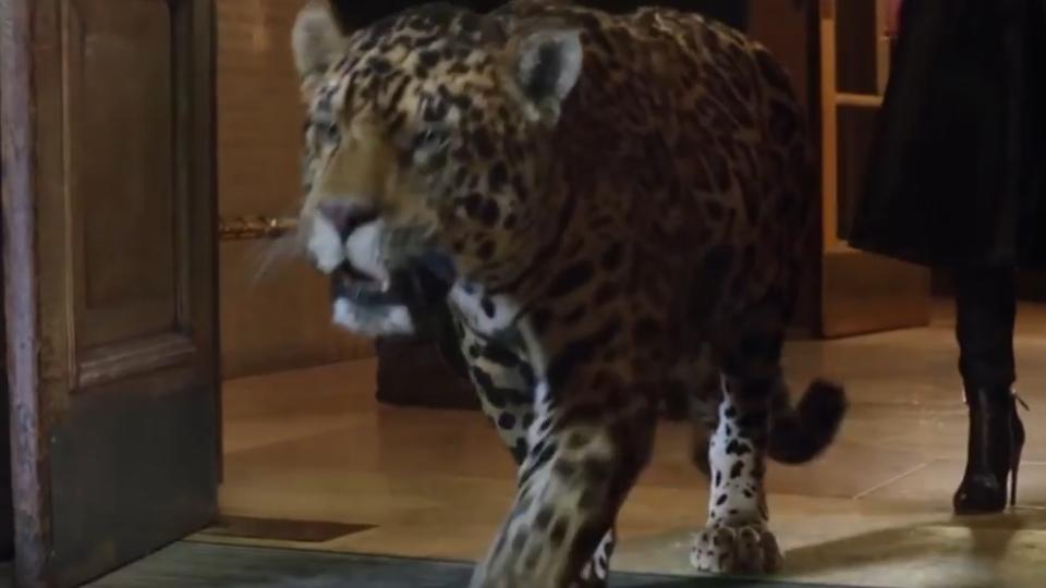 Jaguar се подигра с германските си конкуренти (ВИДЕО)