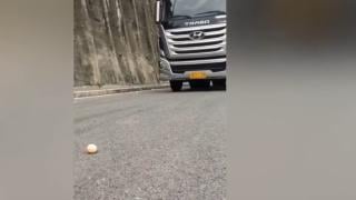 Професионалист: Шофьор мина с голям камион над яйце без да го счупи ВИДЕО