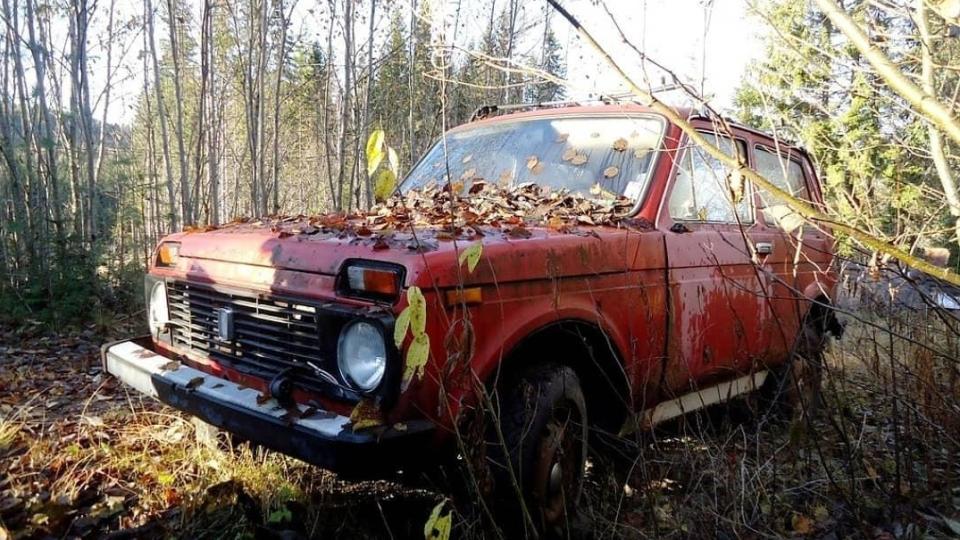 В Европа откриха гробище на стари съветски автомобили СНИМКИ