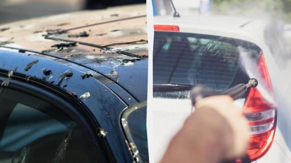 Как да предпазите суперевтино колата си от неприятните птичи изпражнения ВИДЕО