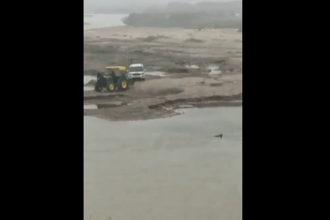 Уникално ВИДЕО: Полицейско преследване разсмя милиони в мрежата