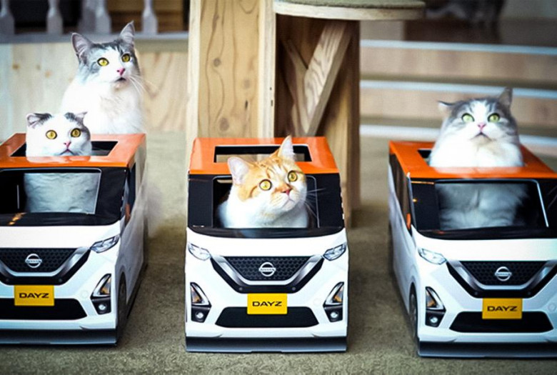Най-милата реклама на коли: Nissan оборудва котенца с малки автомобили СНИМКИ