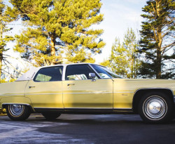 Продават на търг Cadillac Fleetwood на легендарния Елвис Пресли СНИМКИ