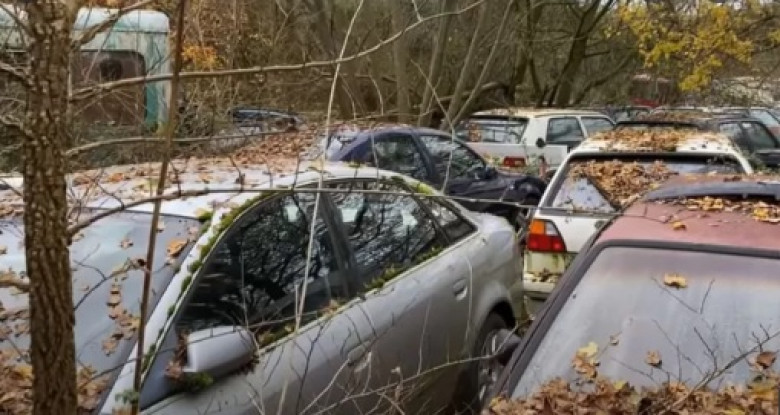 Невероятна находка: Десетки редки автомобили Volkswagen и Audi са открити в гората ВИДЕО